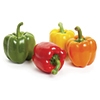 Capsicum Growers
