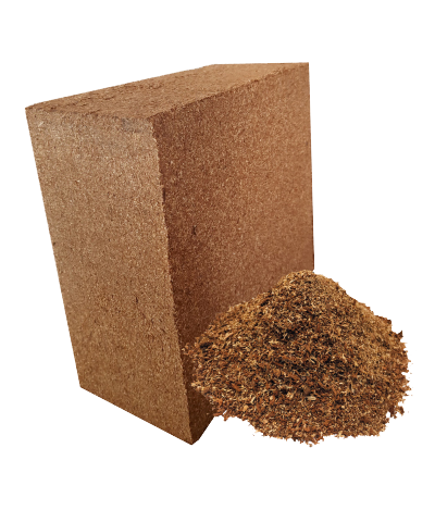 MUSHROOM MIX BLOCK