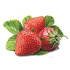 Strawberry Growers
