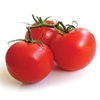 Tomato Growers