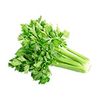Celery