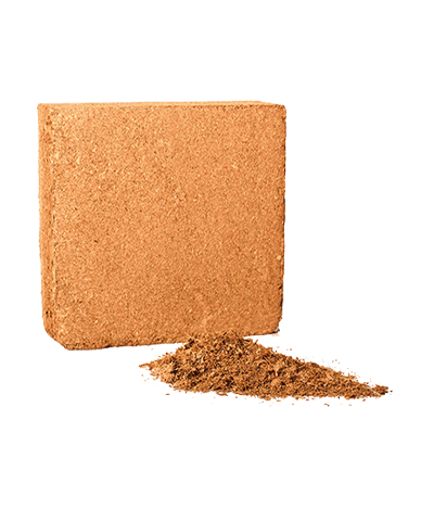 Riococo Mix Blend