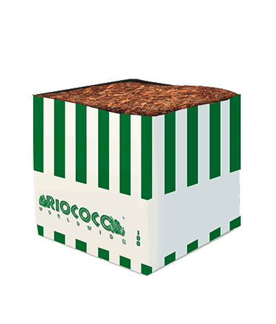 RIOCOCO 100