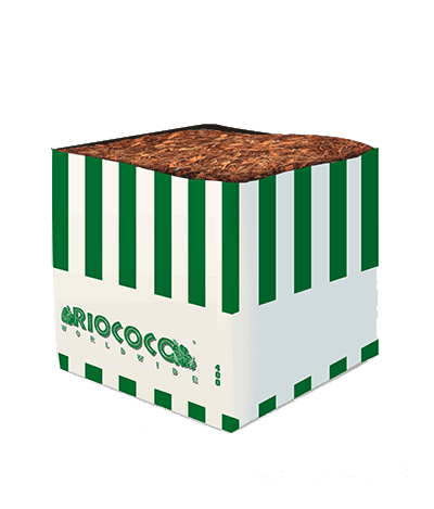 RIOCOCO 400