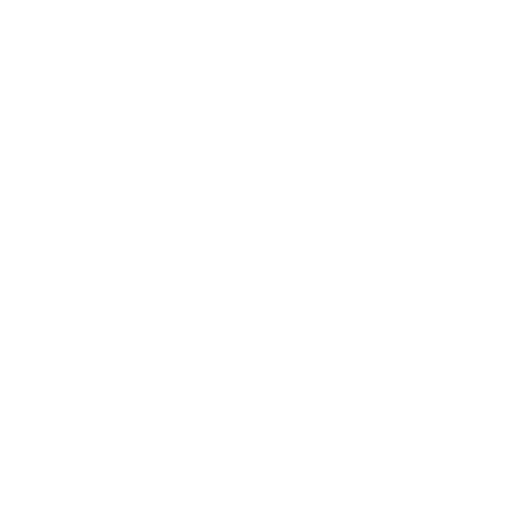 20 Years Experience