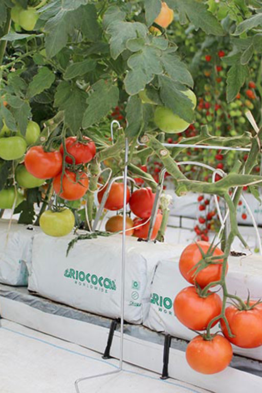 COCO COIR GROW BAG 200 gallery image 1
