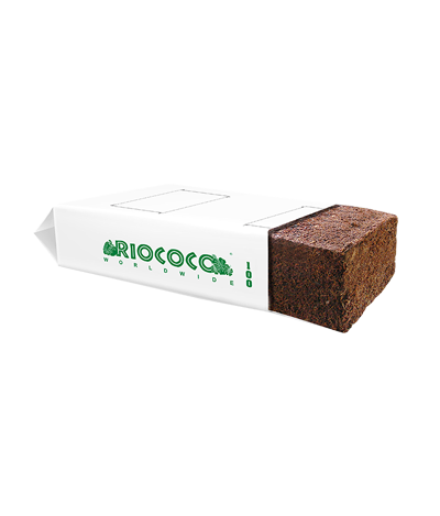 RIOCOCO 100