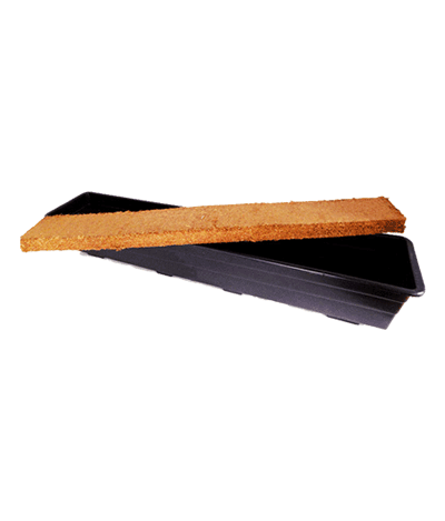 Riococo Grow Plank