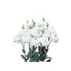 Lisianthus