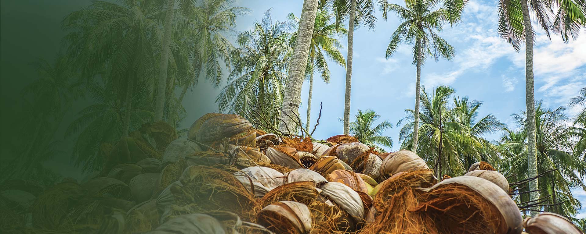 We Manufacture World-Class Coco-Coir Products for Cultivation Solutions