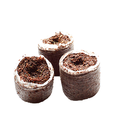 Riococo CBOP Plugs