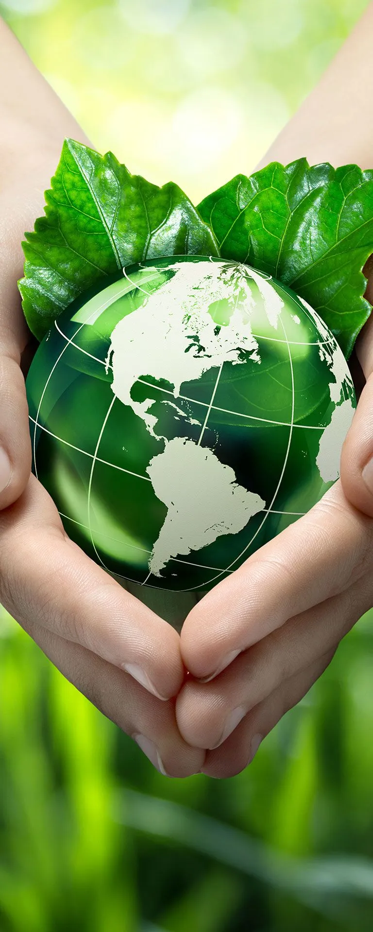 Sustainability