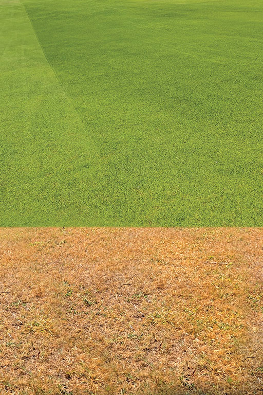 Turf and Landscaping Block gallery image 4