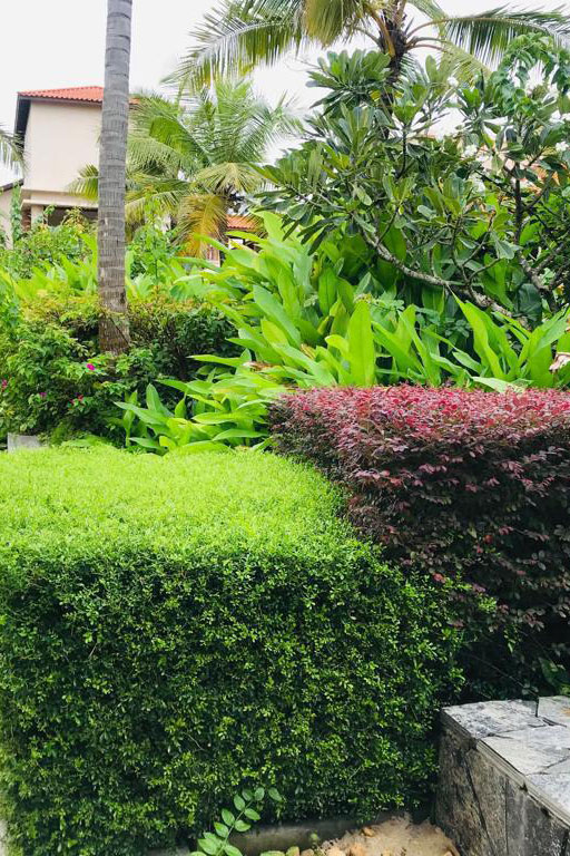 Turf and Landscaping Block gallery image 5