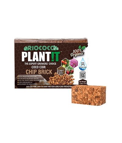 Coco Coir Bricks